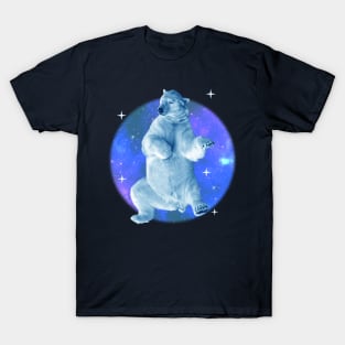 Ursa Major Dancing With the Stars T-Shirt